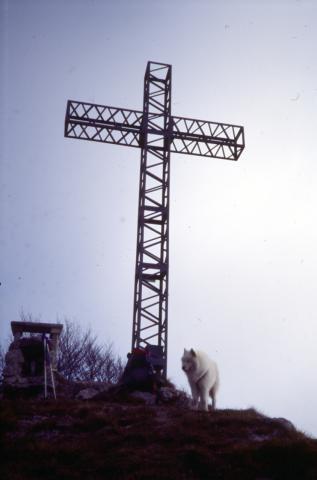 15-11-2003 - Monte Suchello