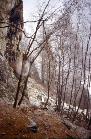 27-12-2003 - Carisole - palestra roccia