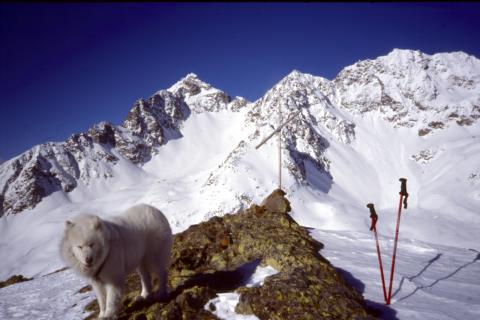 18-01-2004 - Passo di val Viola
