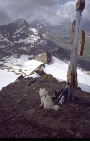 Pizzo Tresero