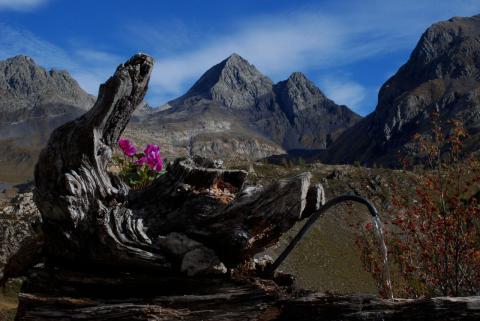 Concorso Ottolini 2011