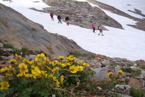 Concorso Ottolini 2011
