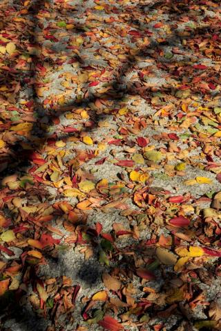 Concorso Ottolini 2011