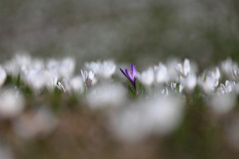 Concorso Ottolini 2011