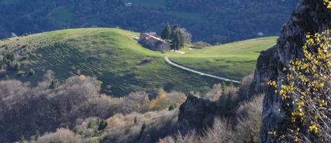 Concorso Ottolini 2013