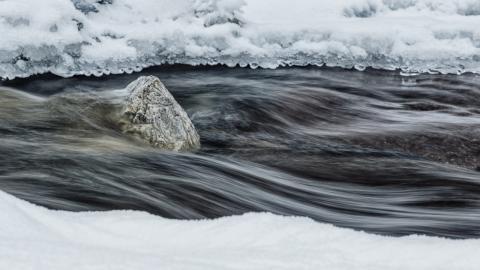 Concorso Ottolini 2014