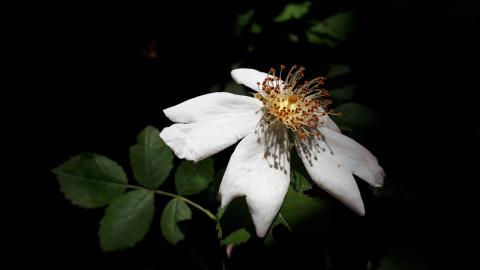 Concorso Ottolini 2018