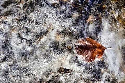 Concorso Ottolini 2018