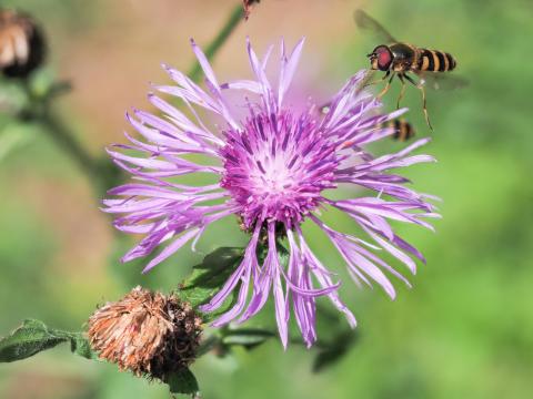 Concorso Ottolini 2018