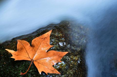 Concorso Ottolini 2018