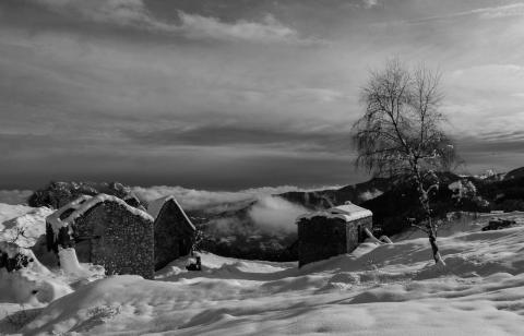 Concorso Ottolini 2019