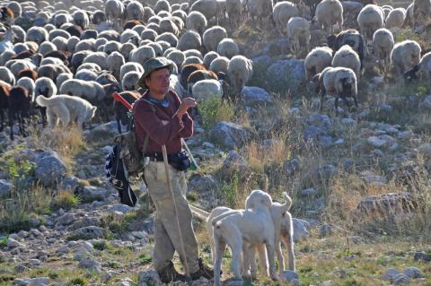 Concorso Ottolini 2019