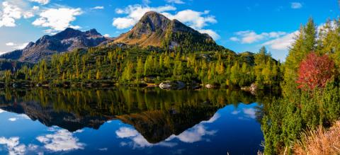 Concorso Ottolini 2019