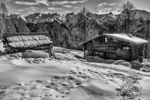 Concorso Ottolini 2020