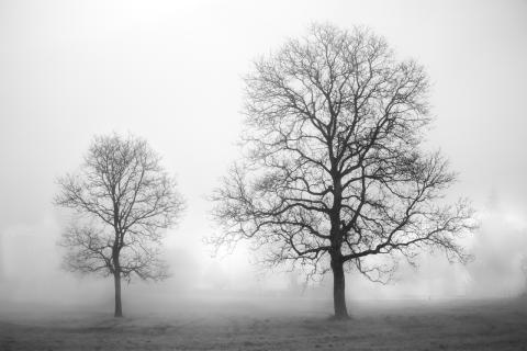 Concorso Ottolini 2020