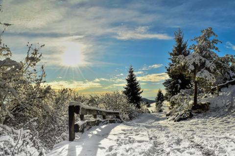 Concorso Ottolini 2020