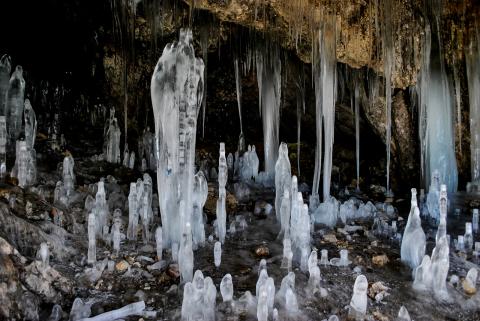 Concorso Ottolini 2020