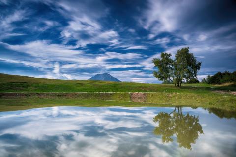 Concorso Ottolini 2020