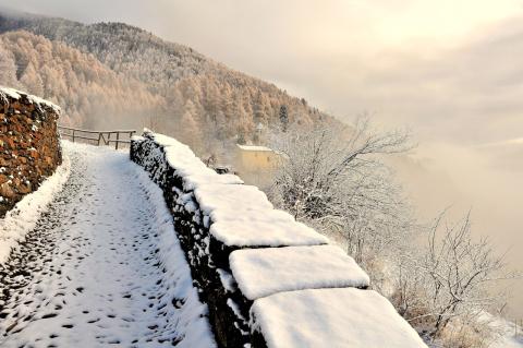 Concorso Ottolini 2020