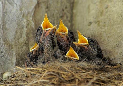 Concorso Ottolini 2021