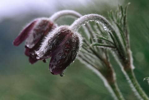Concorso Ottolini 2021