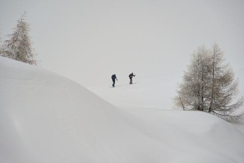 Concorso Ottolini 2021