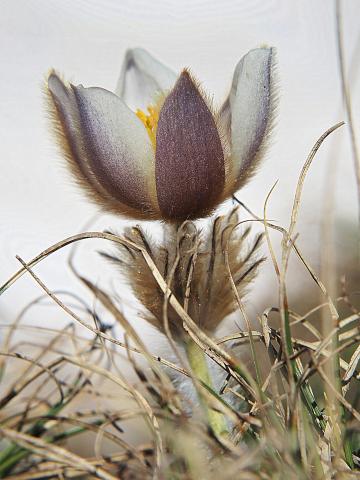 Concorso Ottolini 2021