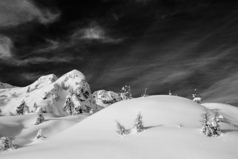 Concorso Ottolini 2021