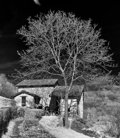 Concorso Ottolini 2021