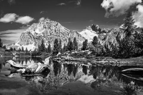 Concorso Ottolini 2021