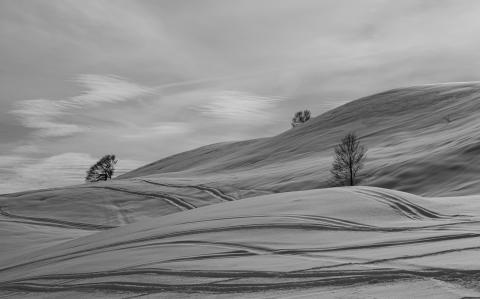 Concorso Ottolini 2021