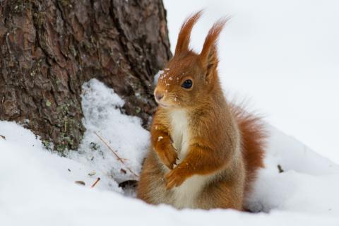 Concorso Ottolini 2015