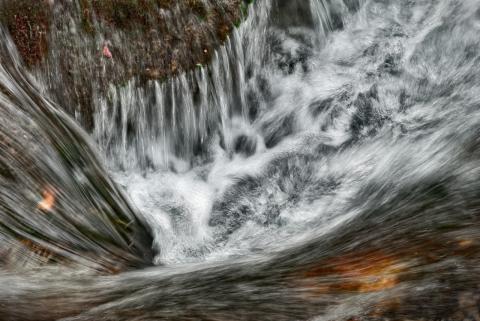 Concorso Ottolini 2015