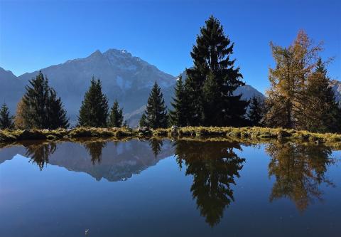 Concorso Ottolini 2015