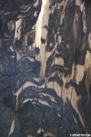 Concorso Ottolini 2015