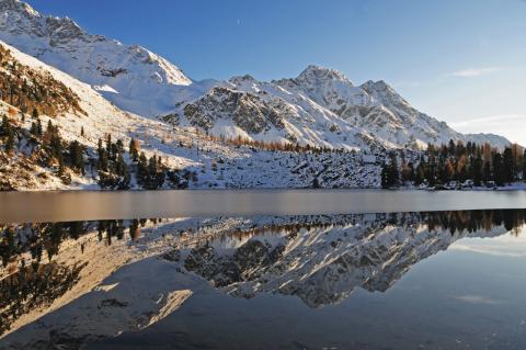 Concorso Ottolini 2015