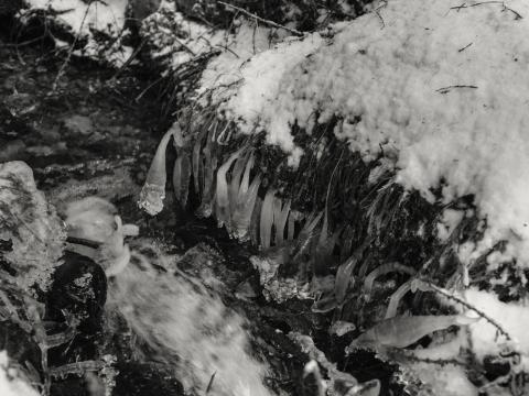 Concorso Ottolini 2015