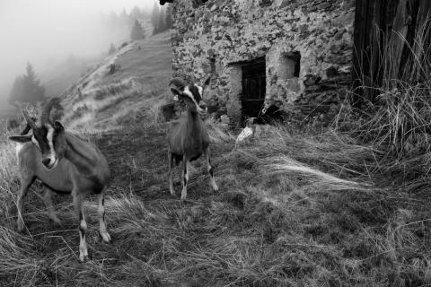 Concorso Ottolini 2015