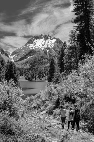 Concorso Ottolini 2015