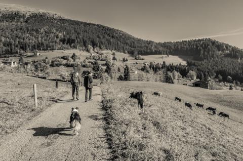 Concorso Ottolini 2015