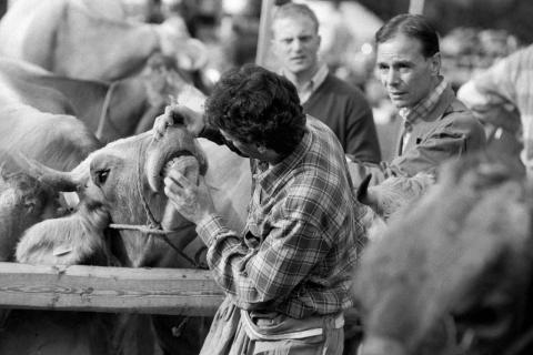 Concorso Ottolini 2015