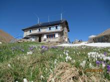 Immagine Rifugio Grassi