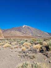 Isole Canarie: alla scoperta di Tenerife e La Gomera