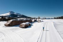 Passo Lavazé 