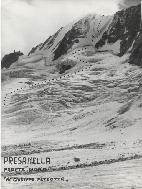 Presanella