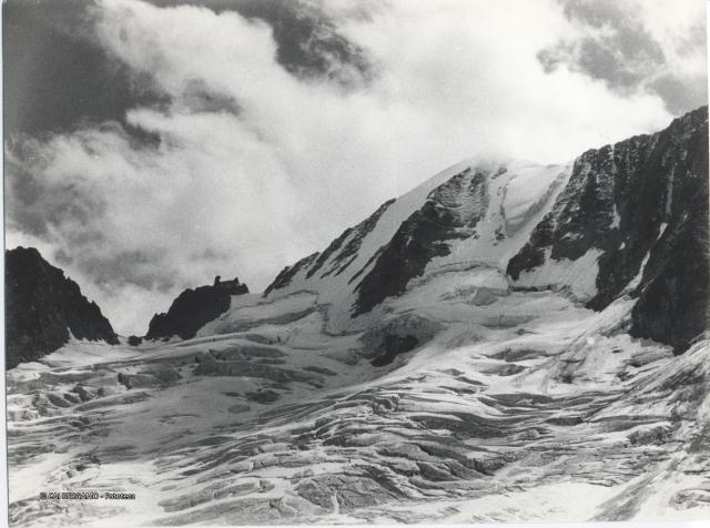 Presanella parete nord