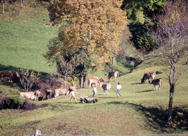Tour ad Alino (S.Pellegrino Terme)