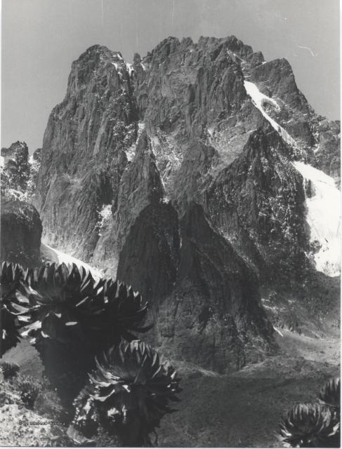 Monte Kenya