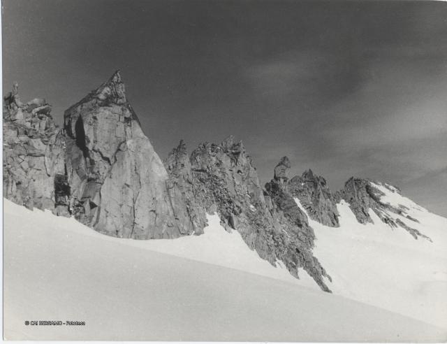Gruppo dell'Adamello