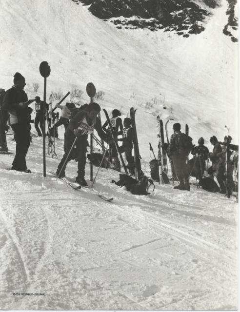 Gara sociale sci alpinismo